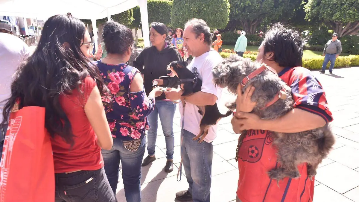 Cuidan mascotas en colonias de Irapuato con campañas de vacunación y concientización (1)